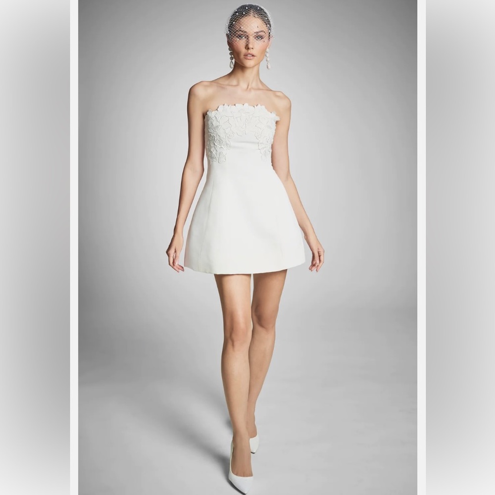 Sachin & Babi Alanna Dress Ivory NWT 0